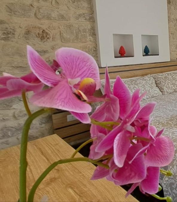 B&B Cuore Barocco Ragusa Exteriér fotografie
